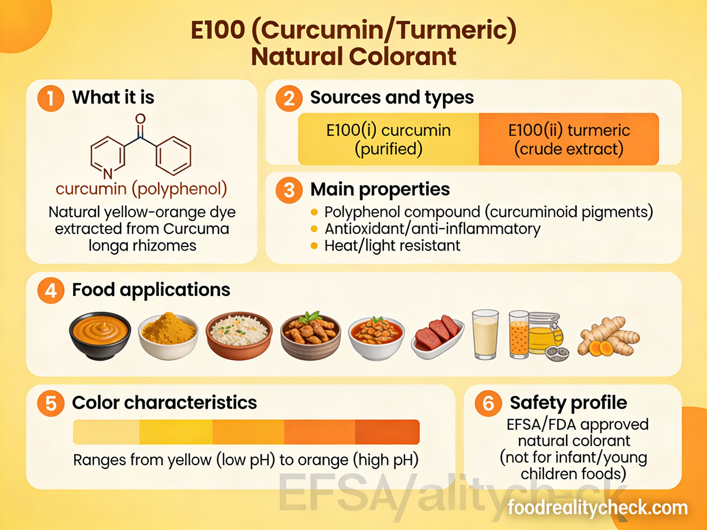 E100 - Turmeric Curcumin Colorant