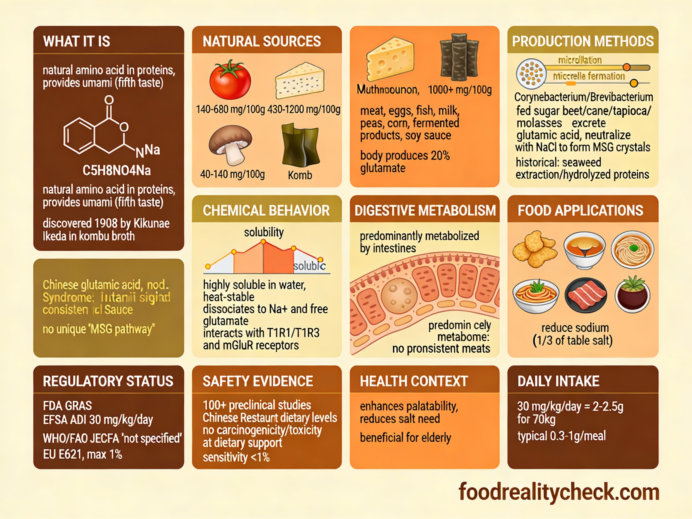 E621 - Monosodium Glutamate (MSG)
