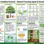 E969 - Quillaia Extract