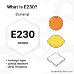 What is E230