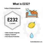 What is E232