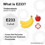 What is E233