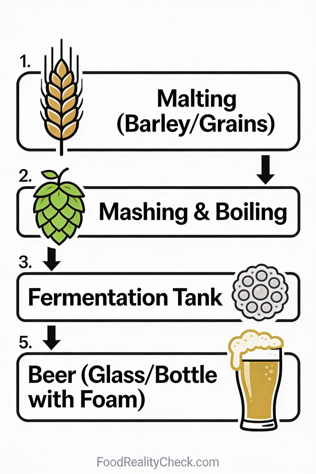 How Is Beer Brewed? Fermentation, Hops, and Carbonation Explained ...