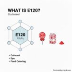 what is E120