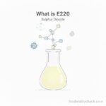 what is e220